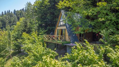Forest House