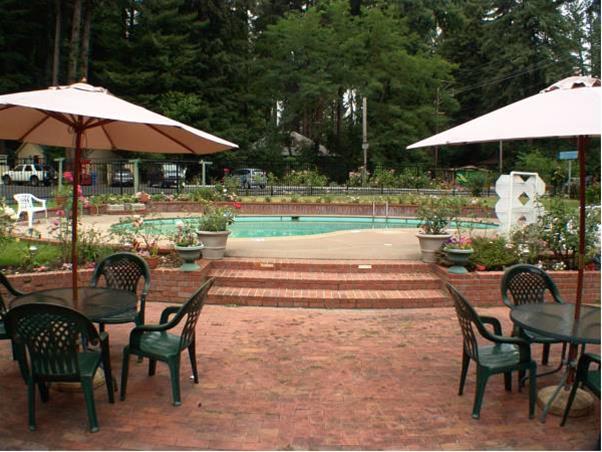 Quality Inn & Suites Santa Cruz Mountains - photo 28