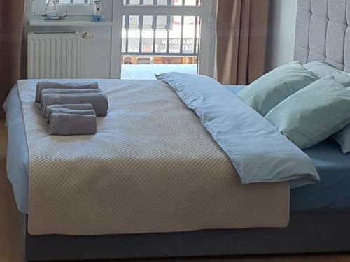 Bachus in Mielno, Poland