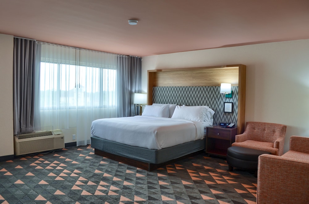 Holiday Inn Mobile West I 10 by IHG - photo 33