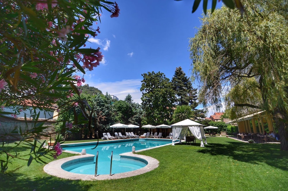 Blue Dream Hotel — hotel in Monselice