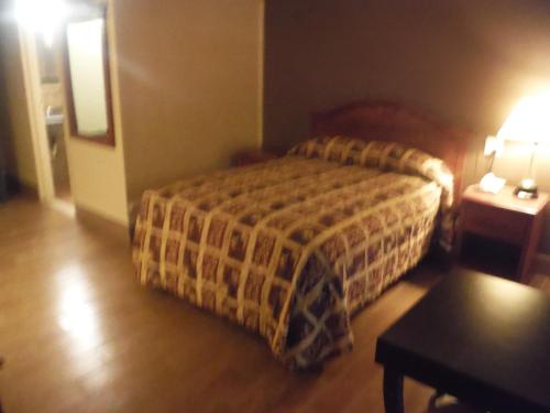 Budgetel Inn & Suites Hotel - photo 12