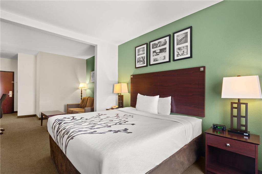 Sleep Inn & Suites Bush Intercontinental IAH East - photo 22