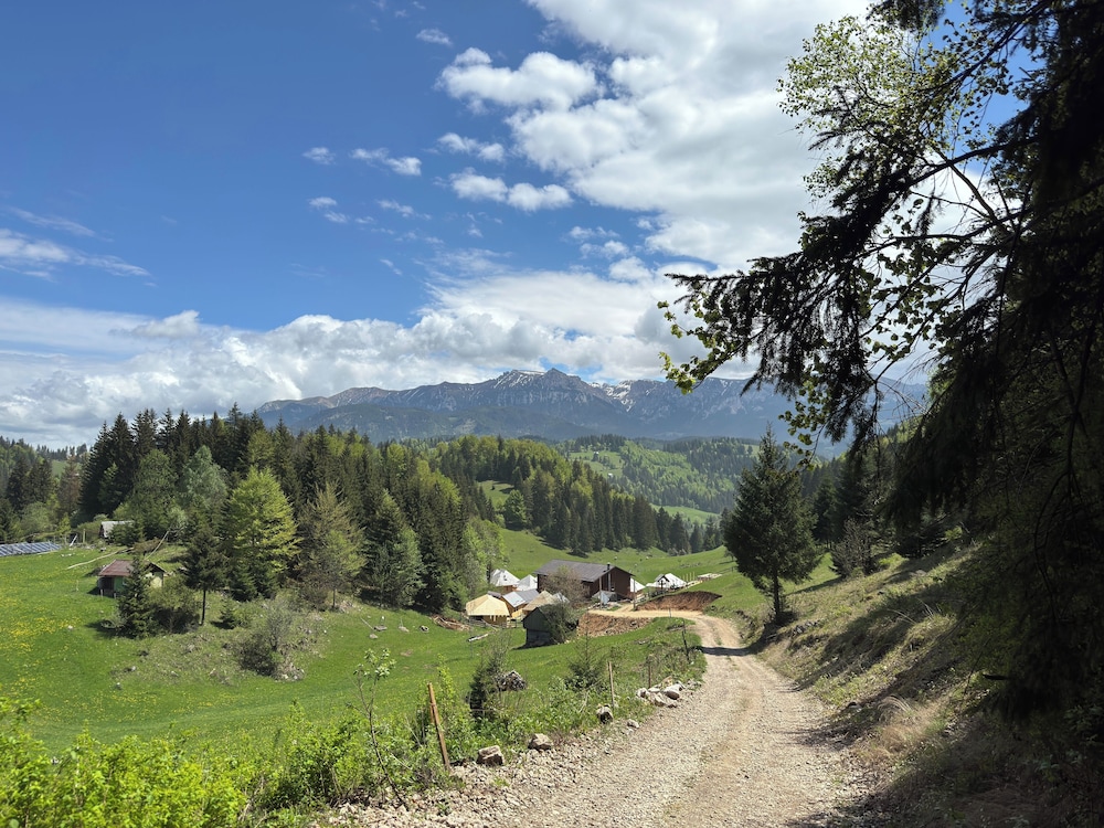 Andolia in Moieciu De Jos, Romania