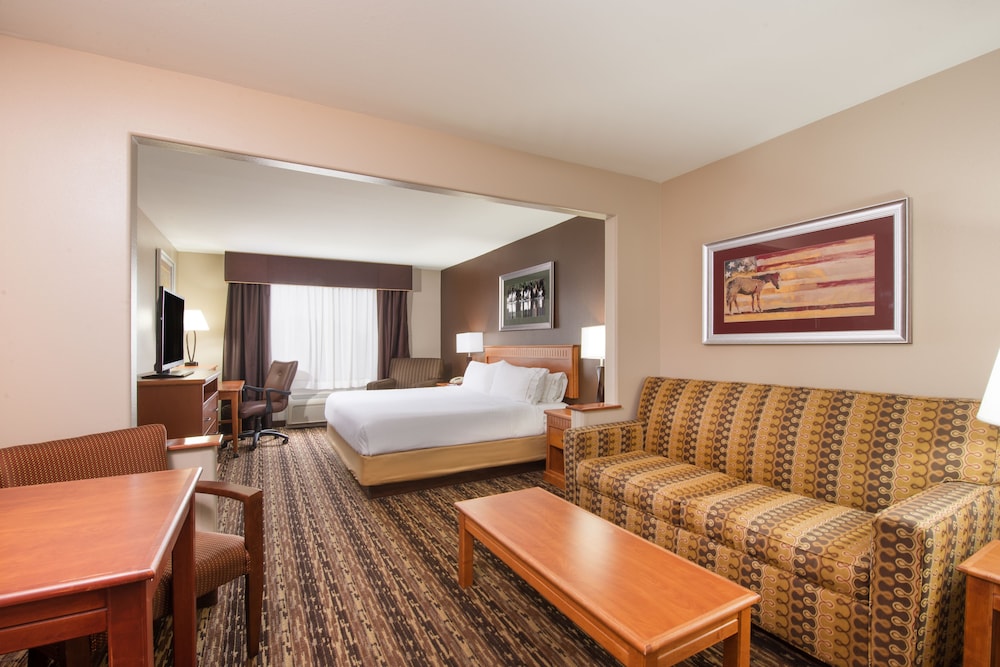 Holiday Inn Express Hotel & Suites Douglas an IHG Hotel - photo 4