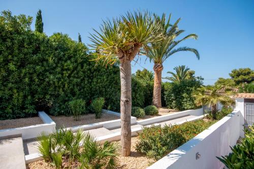 Mercedes — Javea — photo 4