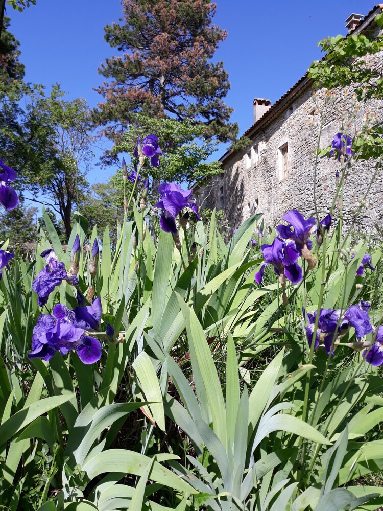 Mas De La Chadenede in Lagorce, France
