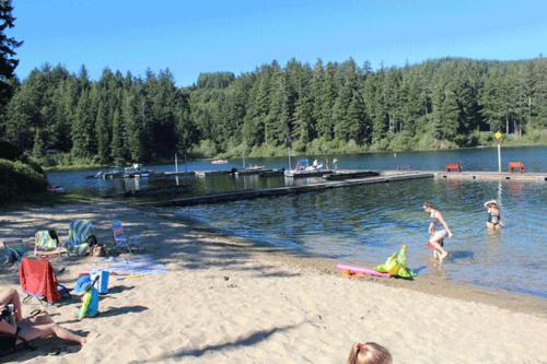 Mercer Lake Resort and Beach - photo 32
