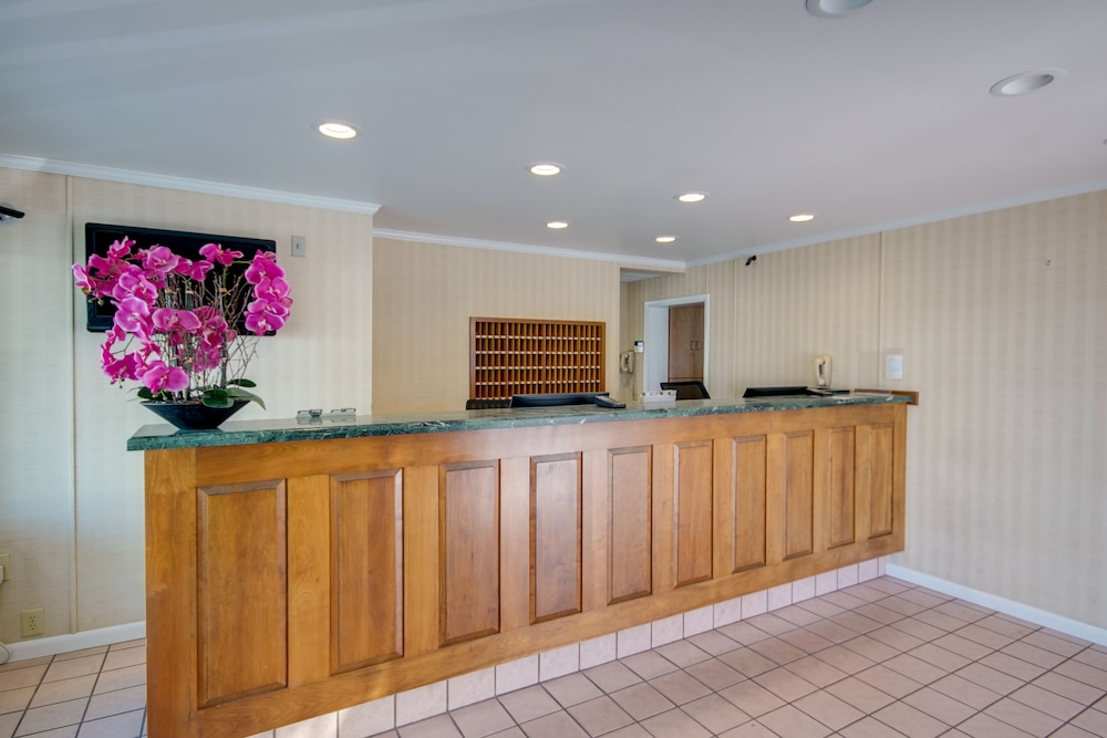Sahara Motel - photo 2