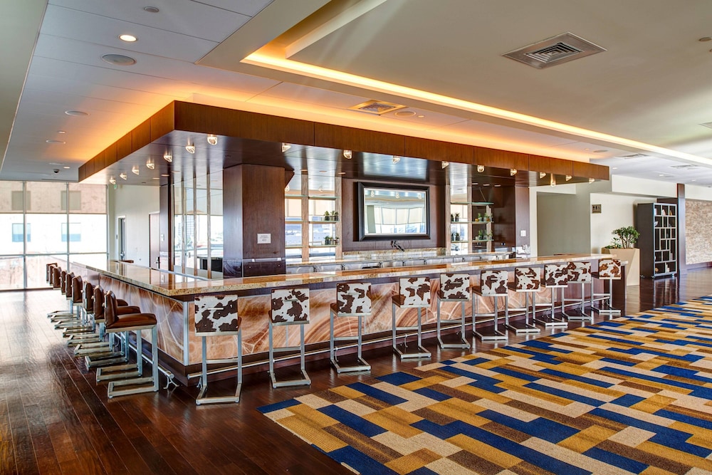 Renaissance Dallas Hotel - photo 51
