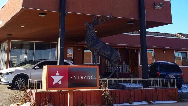 Mountain Star Inn - photo 66