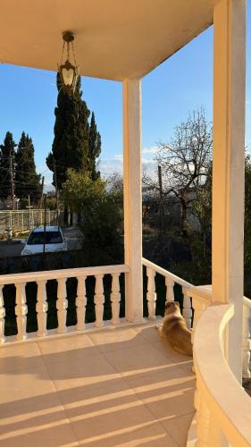 2BR Terrace Bagrati View Parking
