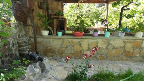Guest House Ucha