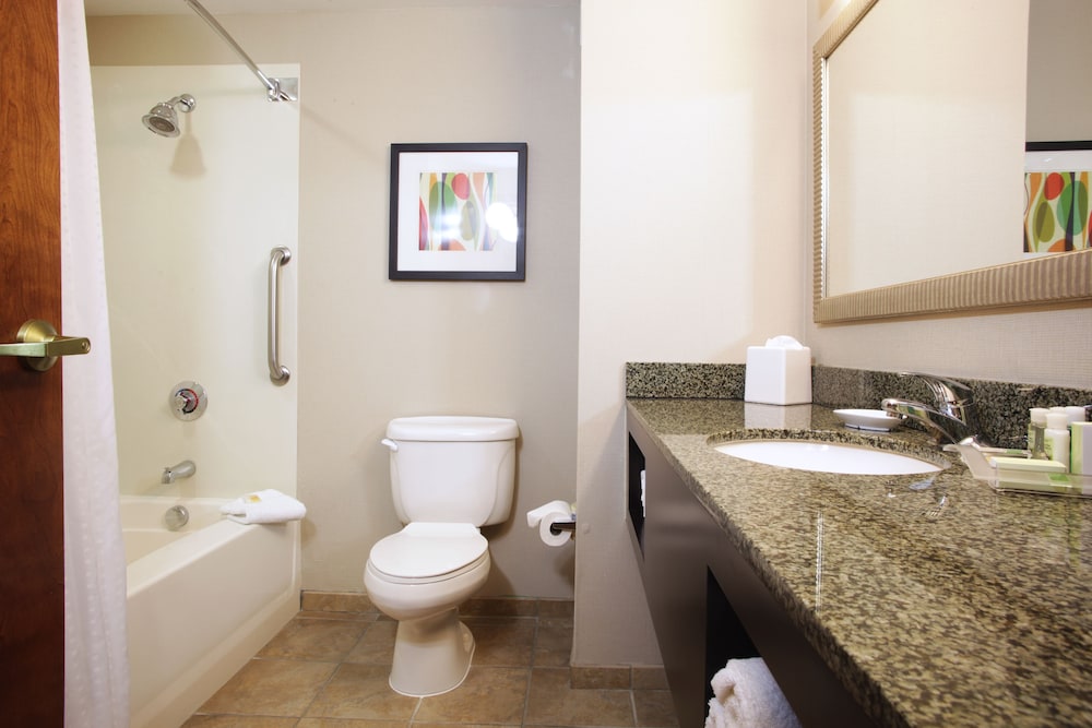Holiday Inn Phoenix Chandler by IHG - photo 81