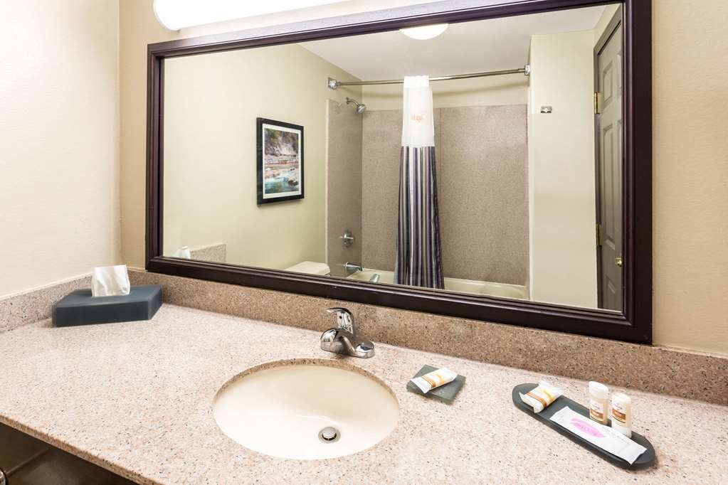 La Quinta Inn & Suites by Wyndham New Braunfels - photo 20