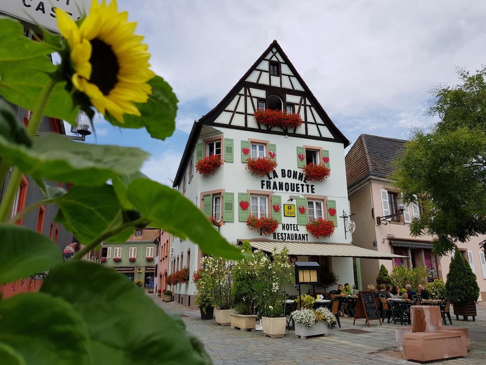 Hôtel la Bonne Franquette pet-friendly hotel Ville