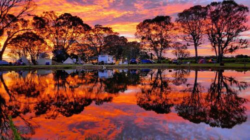 Coonawarra Hampton Bubble 2 — Unknown City — photo 5