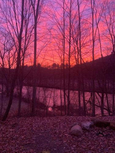 Tiny House on the Battenkill River — Greenwich — photo 4