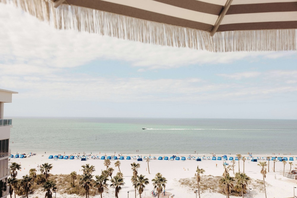 The Hiatus Clearwater Beach Curio Collection By Hilton - photo 113