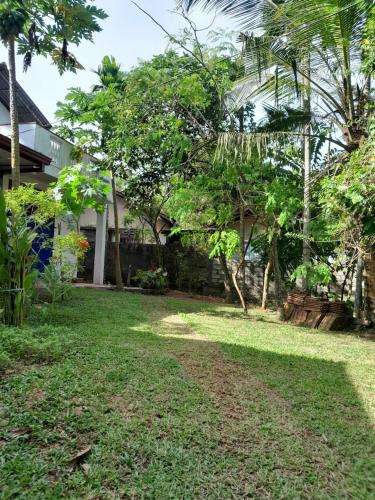 Sunny Green Heaven in Matara, Sri Lanka