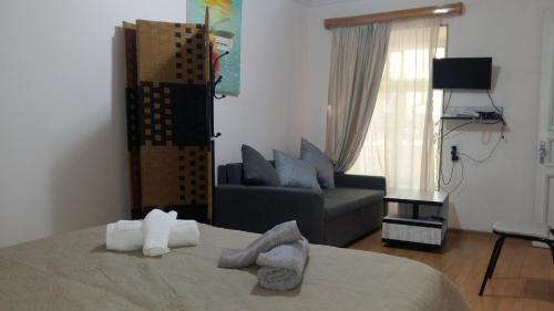 Apartment Tabizde 21