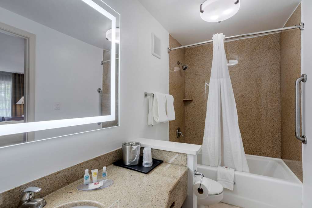 Comfort Inn Downtown Nashville Music City Center - photo 10