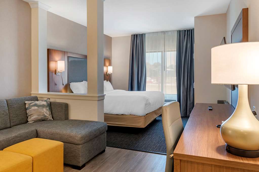 Comfort Suites Grandview Kansas City - photo 14