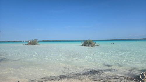 Paradise Beach Bacalar A Pie De Laguna — Bacalar — photo 4