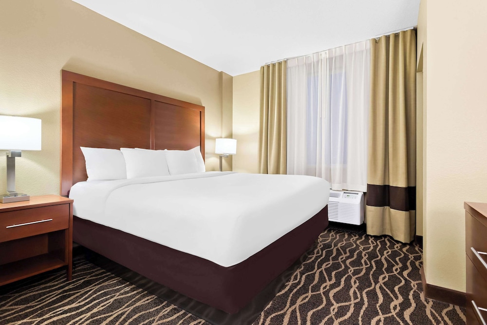 Comfort Suites Tampa Airport North - photo 17