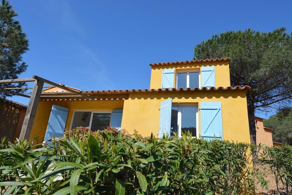 Palmiers de Palombaggia in Porto-Vecchio, France