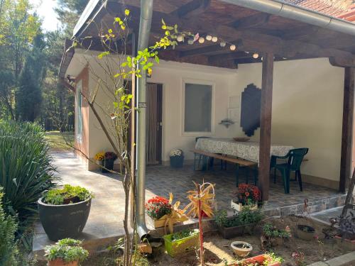 Šumska kuća Juga Kovačević - last minute hotel in Bela Crkva