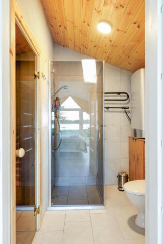Comfort Villas — Ukmerge — photo 2