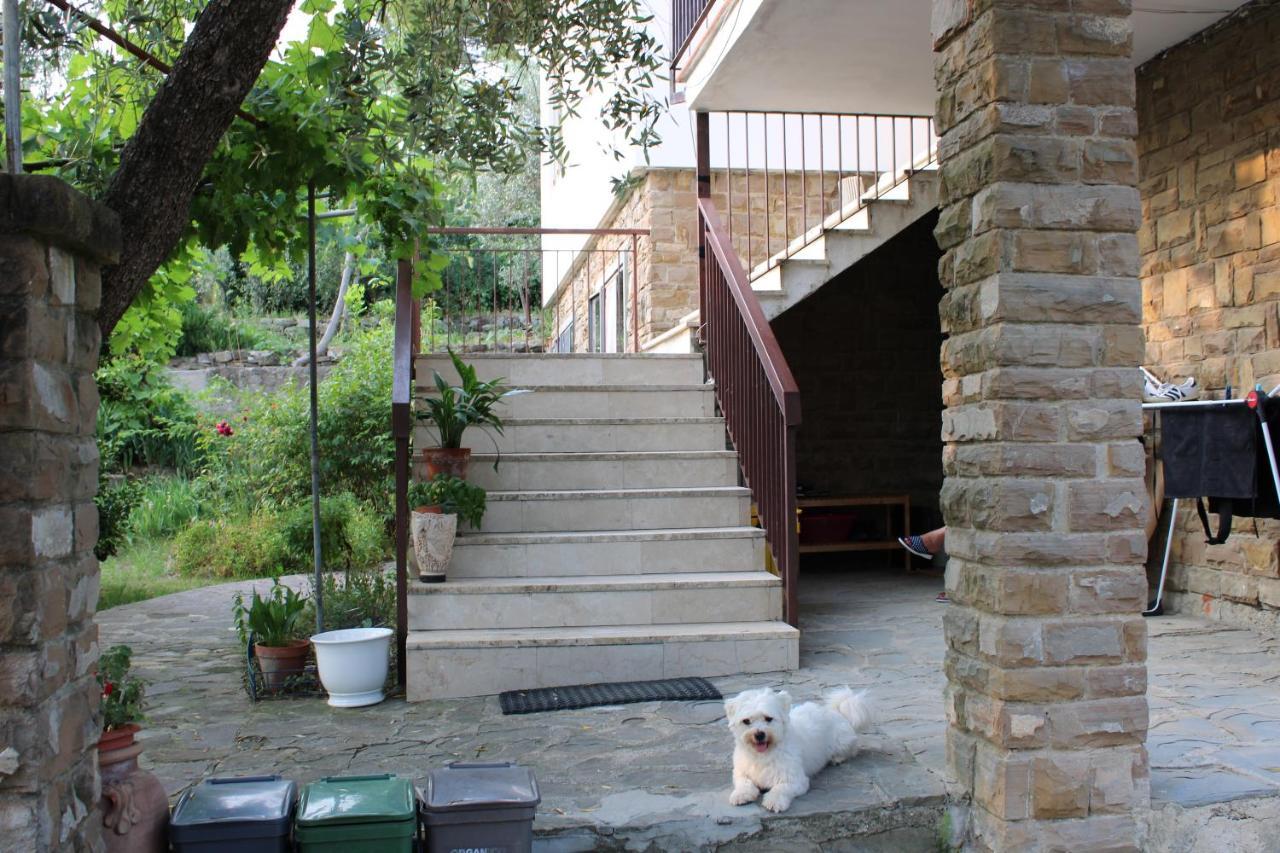 Bella Vista Bolognese — Sesto Fiorentino