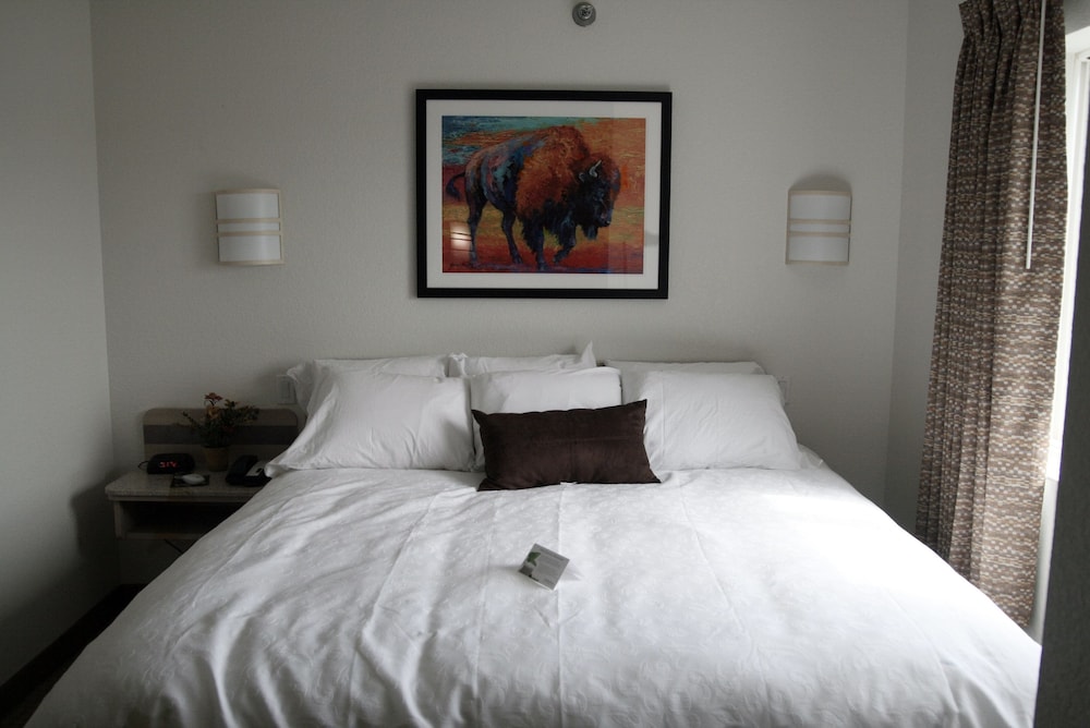 Buffalo Inn - photo 10