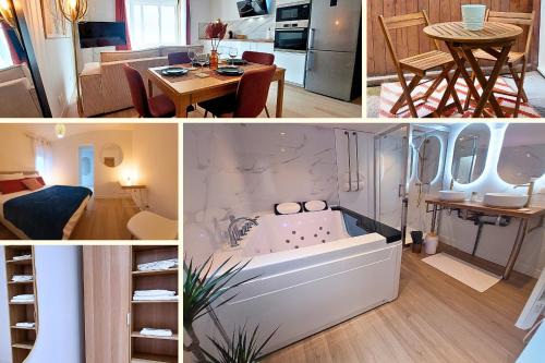 Artgold Logement Haut De Gamme Spa — Roanne
