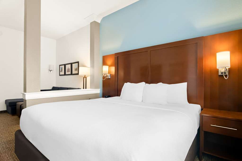 Comfort Suites Rensselaer near Fair Oaks - photo 26