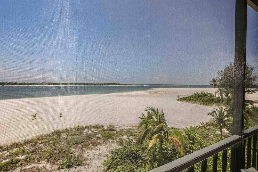 Islands End 204 - photo 17