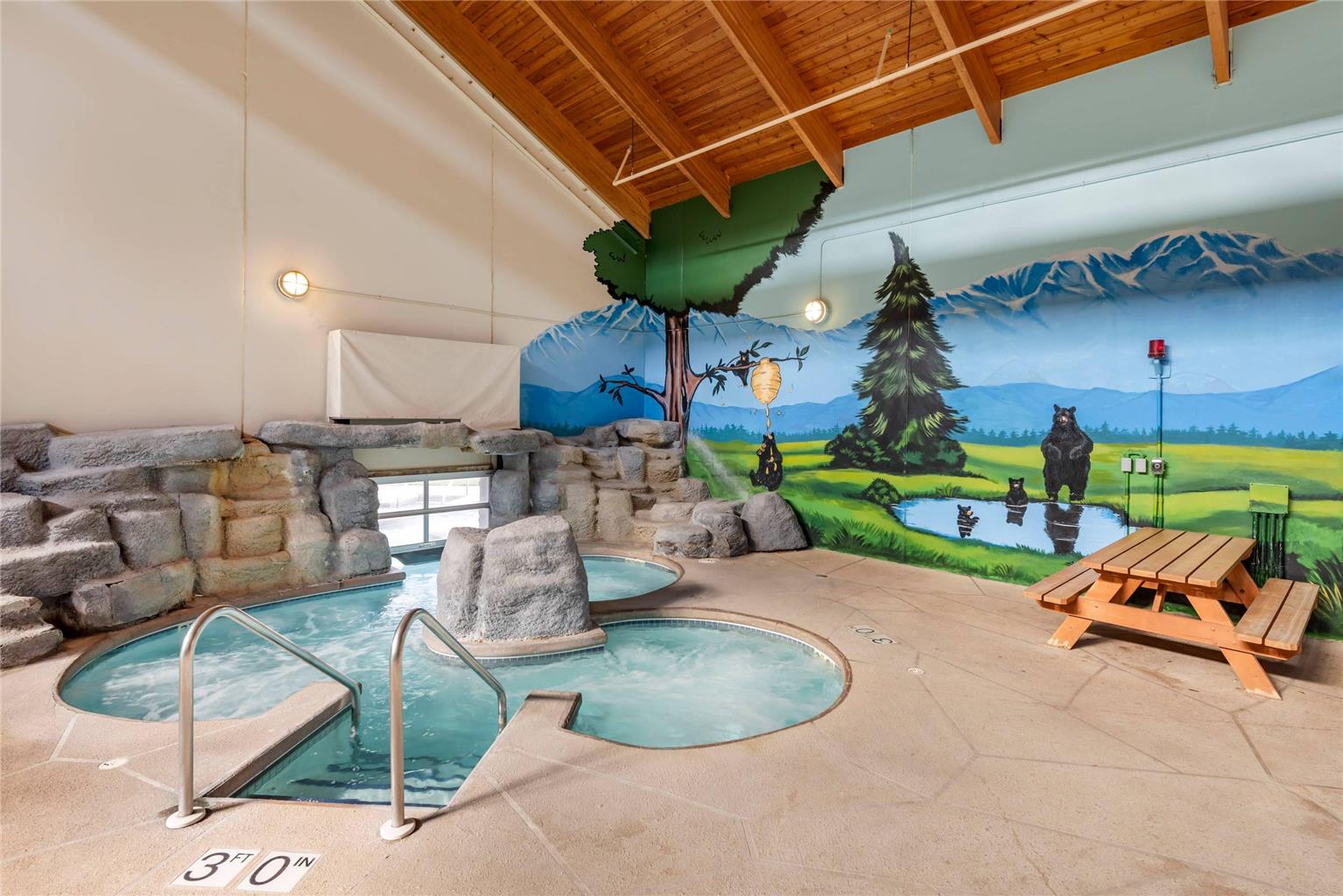 Three Bears Waterpark Resort Near Tomah Ascend Collection Hotel - photo 58