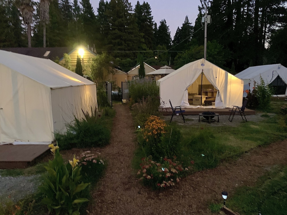 Surrey Resort - photo 10