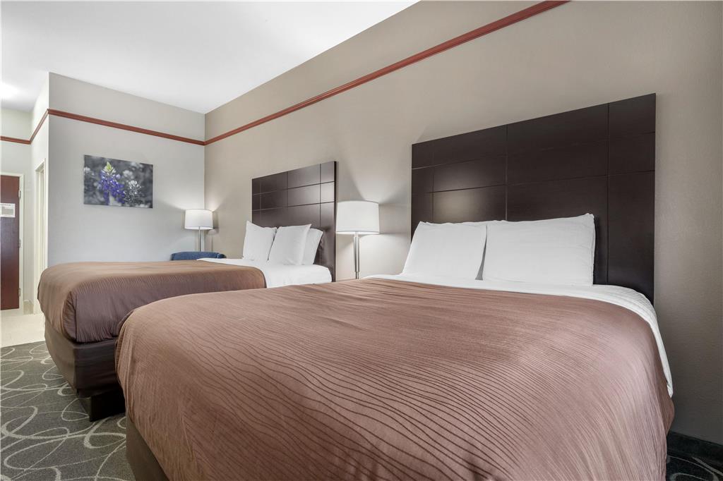 Best Western Limestone Inn & Suites - photo 23