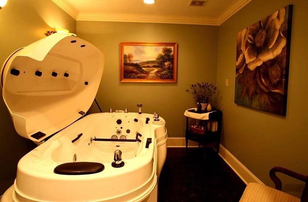 The Martha Washington Inn & Spa - photo 48