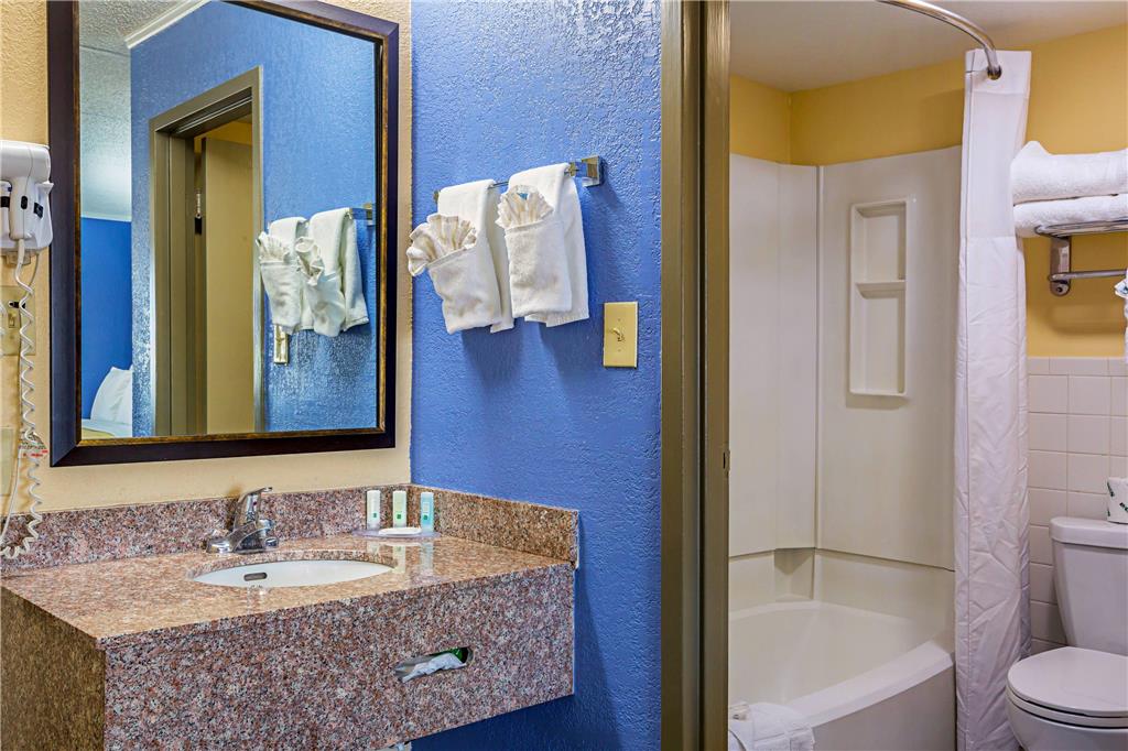 Quality Inn & Suites near Six Flags East - photo 18