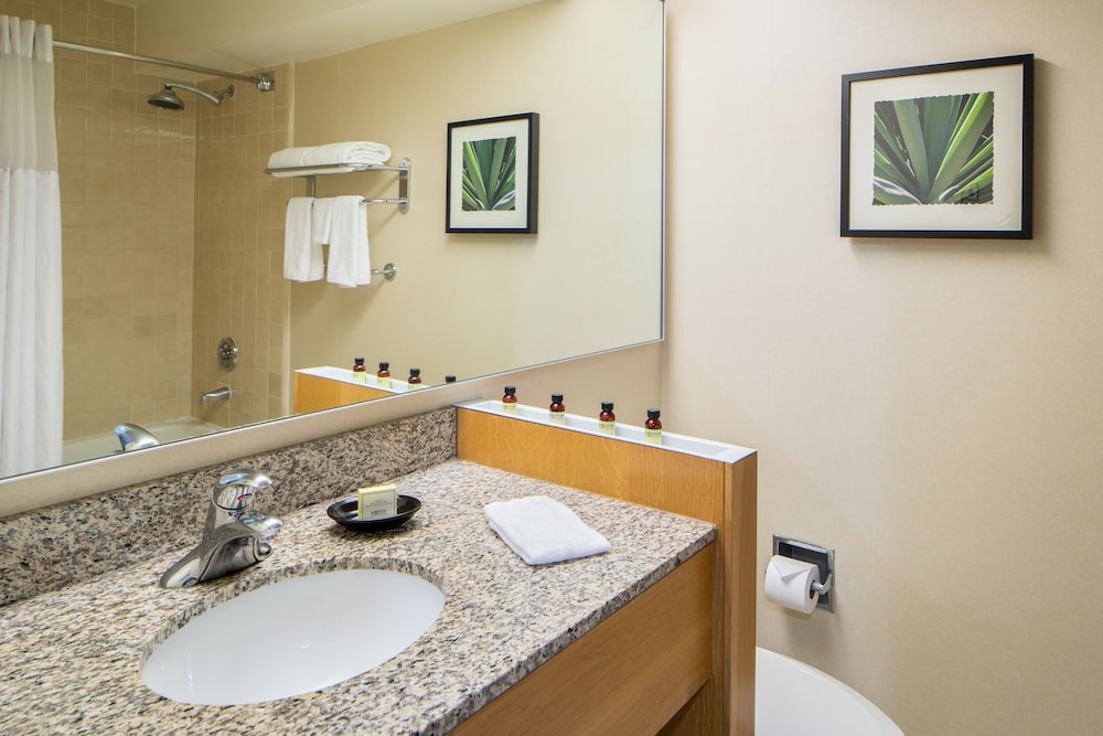 The Domain Hotel - photo 26