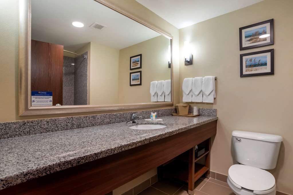 Comfort Suites Foley - photo 8