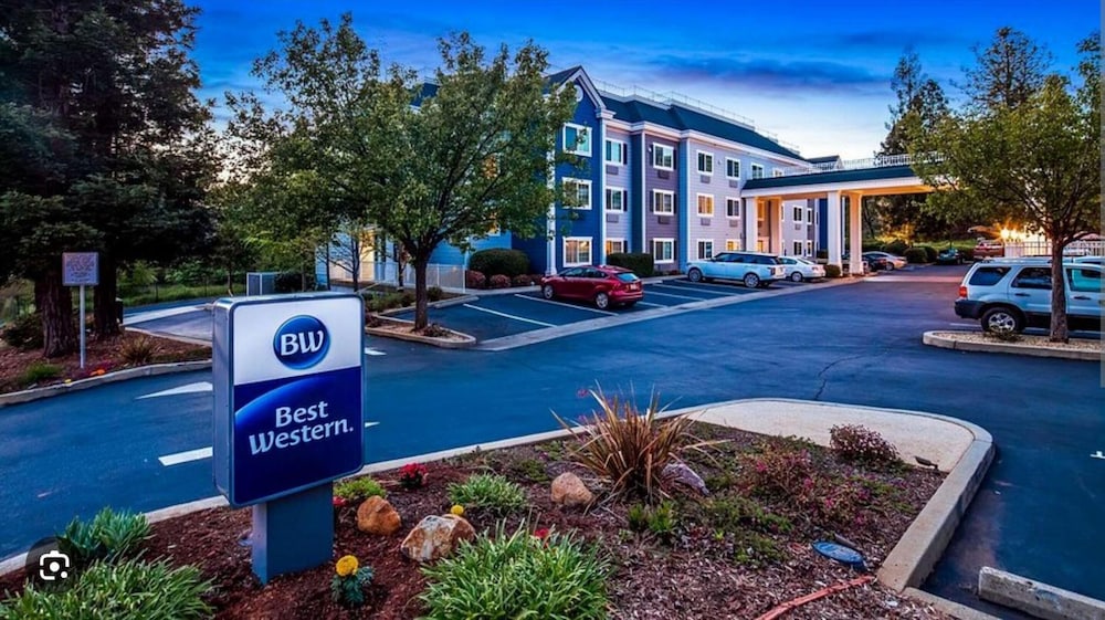 Best Western Paradise Hotel - photo 45