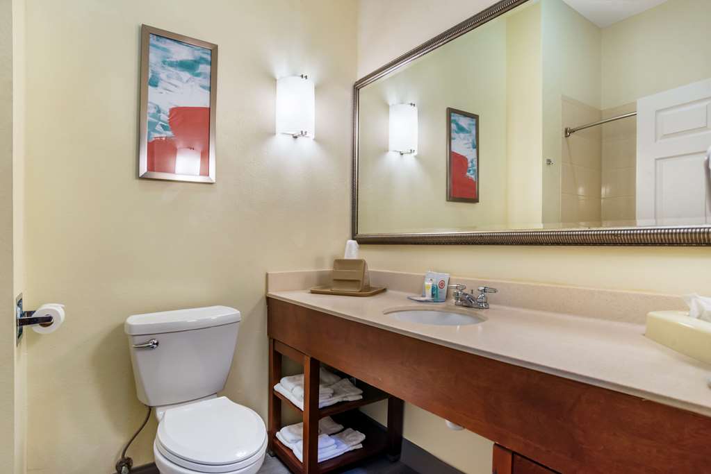 Comfort Inn & Suites Crestview South - photo 23