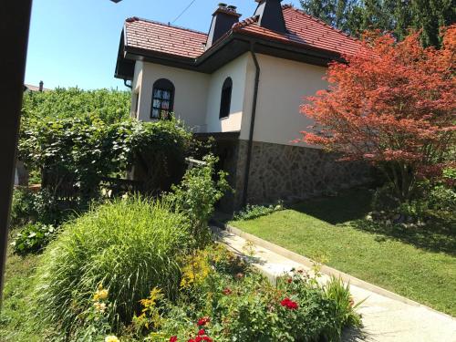 Wine & Nature & Tour — 4-Star Luxury Hotel in Ptuj, Slovenia
