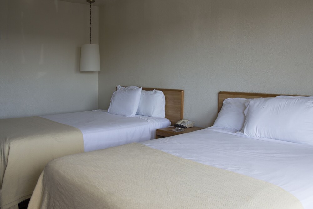 E Z 8 Motel South Bay - photo 13