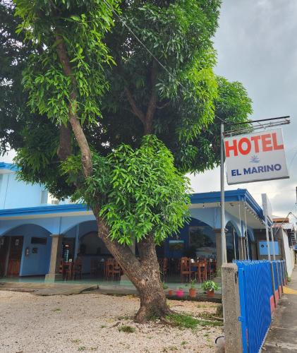 Hotel y Restaurante El Marino in Santa Cruz, Costa Rica