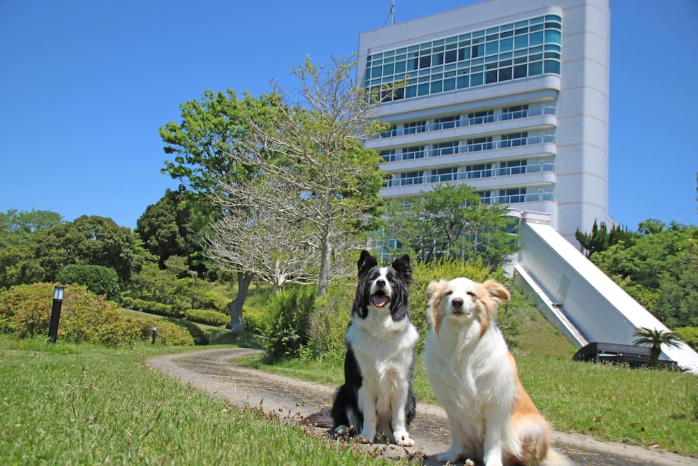 Wan WanParadise Premier Nanki Shirahama in Tanabe, Japan